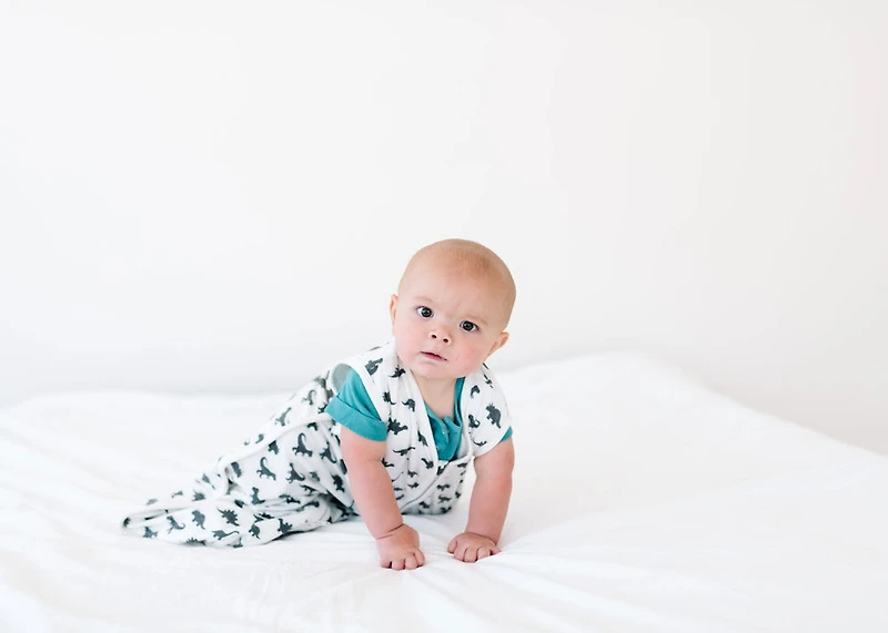 Copper Pearl Wild Sleep Bag 6-12 Months