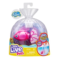 P'tits Plongeurs Little Live Pets - Bellerive