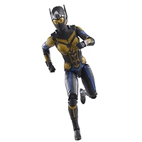 Hasbro Marvel Legends Series, la Guêpe, Ant-Man et la Guêpe : Quantumania, figurine articulée de 15 cm
