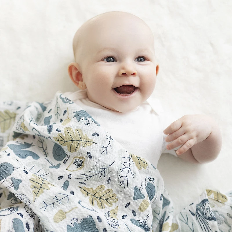 Perlimpinpin-Couverture de mousseline-Forêt