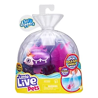 P'tits Plongeurs Little Live Pets - Reine de mer