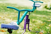 Plum Rotating See Saw - Purple/Teal