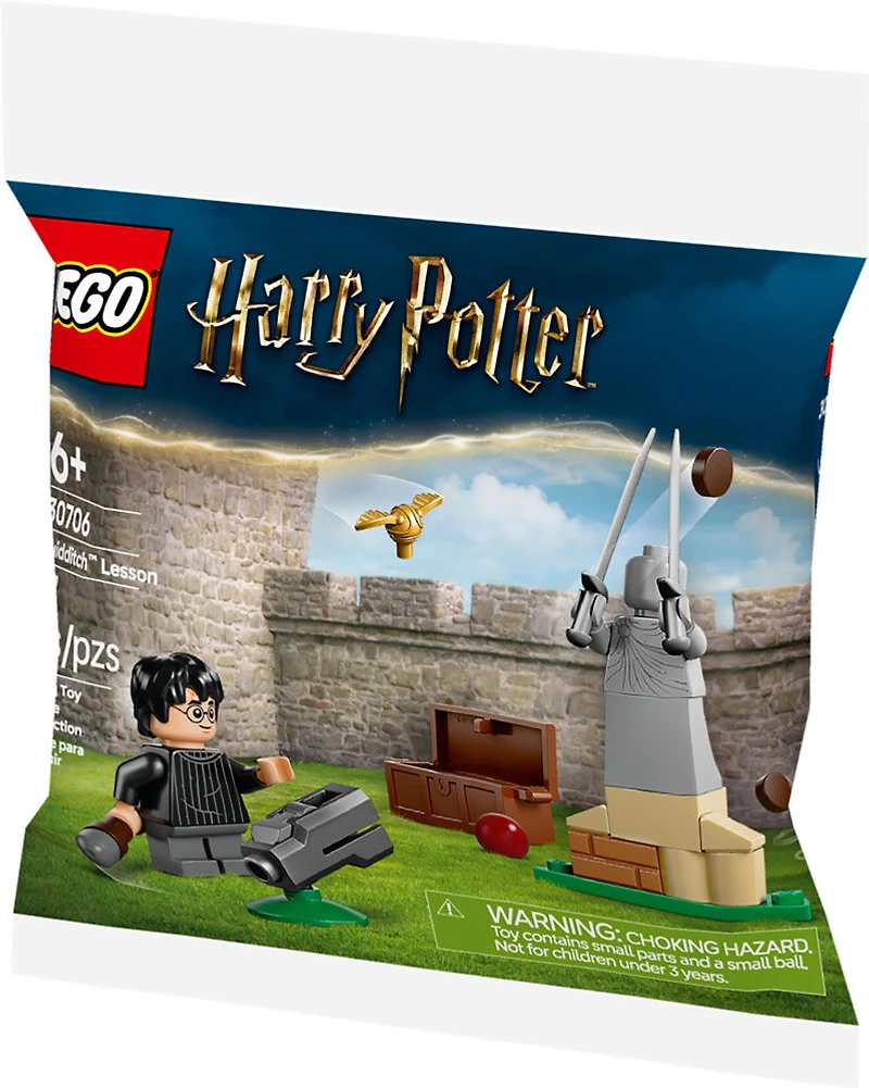 LEGO Harry Potter Quidditch Lesson Building Set - with Harry Potter Minifigure, Snitch, and Quaffle - 30706