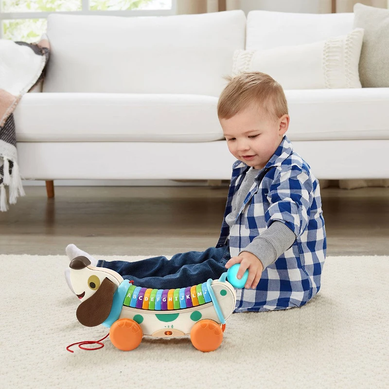 LeapFrog Wooden AlphaPup - English Edition