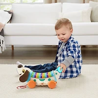 LeapFrog Wooden AlphaPup - English Edition