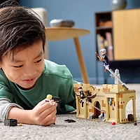 LEGO Harry Potter Poudlard : la première leçon de vol 76395 - Notre exclusivité (264 pièces)