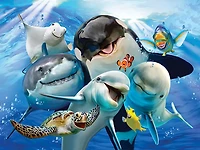 Howard Robinson - Océan - Casse-tête super 3D