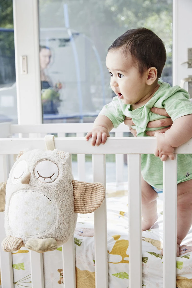 Cloud B Nighty Night Owl 8 Sounds Smart Sensor