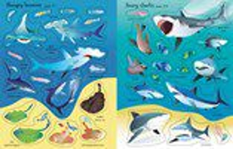 First Sticker Book Sharks and Rays - English Edition