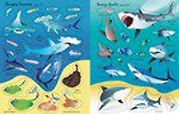 First Sticker Book Sharks and Rays - English Edition