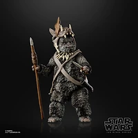 Star Wars The Black Series Teebo (Ewok) Toy 6-Inch-Scale Star Wars: Return Of The Jedi Collectible