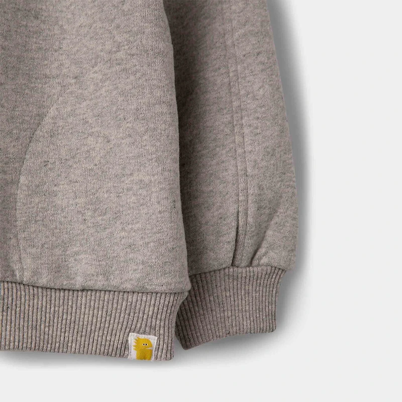 Zip Hoodie Dk Grey Mix 2-3Y