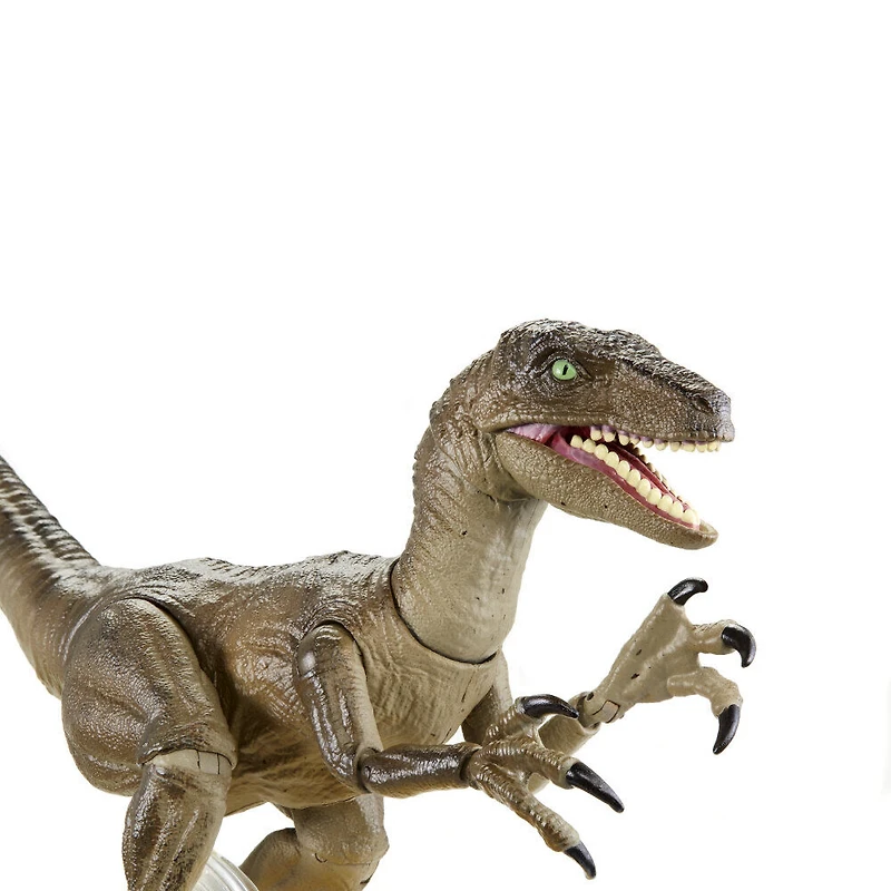 Jurassic World - Collection Ambre - Velociraptor