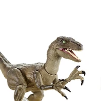 Jurassic World - Collection Ambre - Velociraptor
