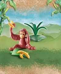 Playmobil - Wiltopia