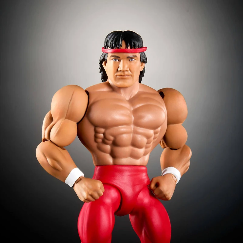 WWE Superstars Figurine 15,24po Ricky The Dragon Steamboat
