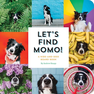 Let's Find Momo! - Édition anglaise