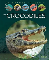 Les Crocodiles - French Text