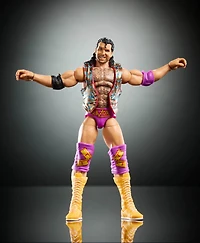 WWE Legends Elite Action Figure