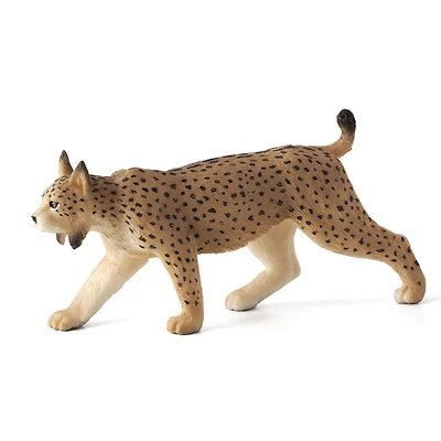 ALEX - Lynx Pardelle - Moyen