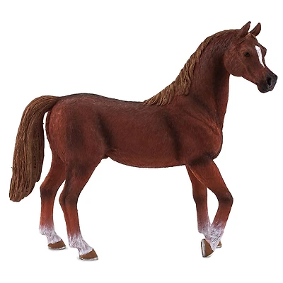 ALEX - Arabian Stallion Chestnut - Extra Large