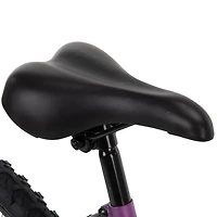 Avigo Ultrax Mountain Bike - 24 inch