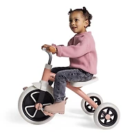 Chillafish Ziggi Tricycle Salmon