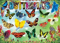Eurographics Educational 100 Piece Butterflies