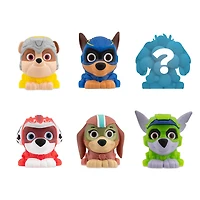 Basic Fun Mash'Ems PAW PATROL MIGHTY MOVIE Série 13