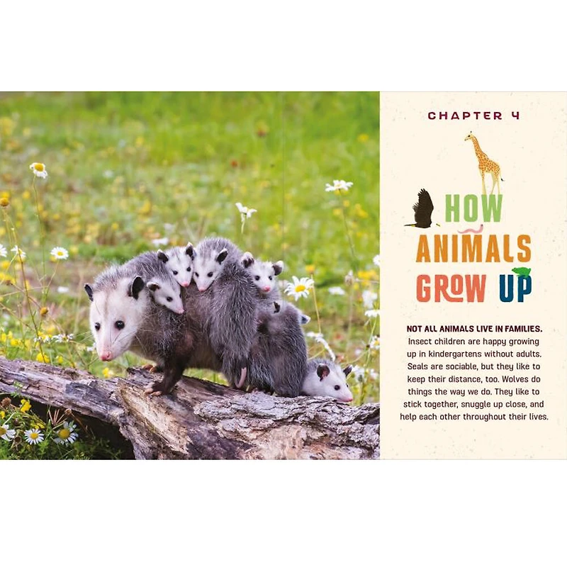 Do You Know Where The Animals Live? - Édition anglaise