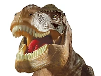 Brainstorm Toys T-Rex Projector & Room Guard