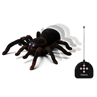 ALEX - RC Tarantula - R Exclusive
