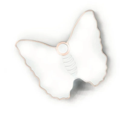 Anneau lumineux LED à clipser pour selfie papillon