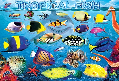 Eurographics Educational 100 Piece Tropical Fish
