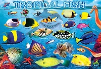 Eurographics Educational 100 Piece Tropical Fish