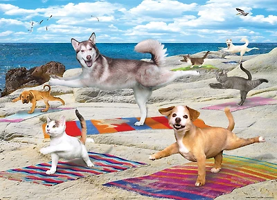Eurographics Puzzle de 300 pièces Yoga Pets Beach