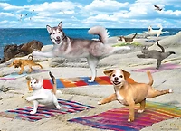 Eurographics Puzzle de 300 pièces Yoga Pets Beach