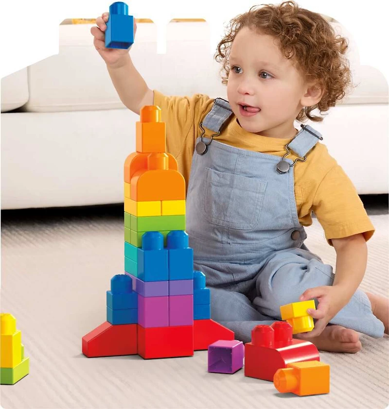 Mega Bloks First Builders Big Building Bag