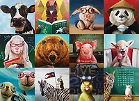 Funny Animals - Puzzle de 1000 pièces