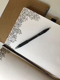 Zebra Sarasa X20 Retractable Gel Pen Ink 2pk