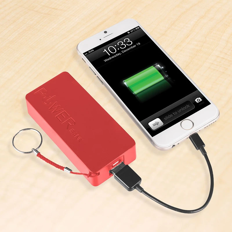 Optimiseur de puissance de 2,600 mAh de Vivitar- Rouge