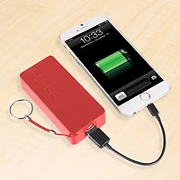 Optimiseur de puissance de 2,600 mAh de Vivitar- Rouge