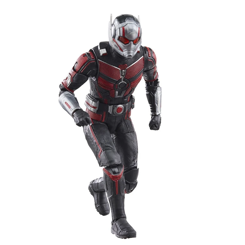 Hasbro Marvel Legends Series Ant-Man, Ant-Man et la Guêpe : Quantumania, figurine articulée de 15 cm