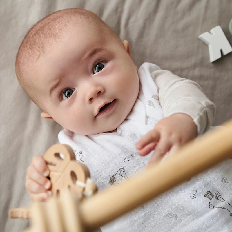 Perlimpinpin sleep bag 0.7 TOG-Goose-0-6m