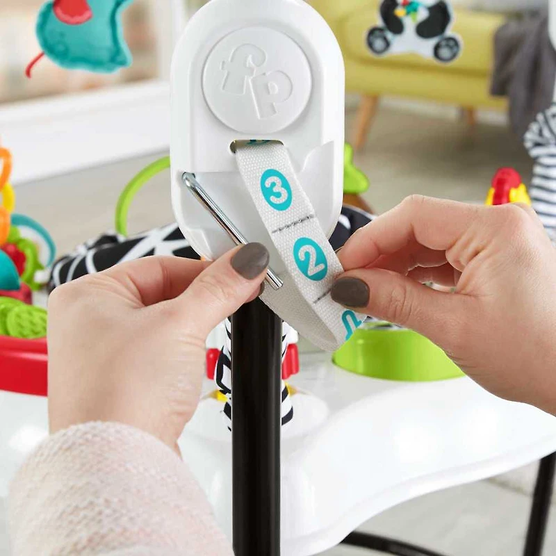 Fisher-Price Baby Bouncer Animal Wonders Jumperoo Activity Center with Music and Lights