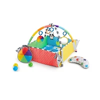 Patch's 5-in-1 Color Playspace Activity Play Gym & Ball Pit