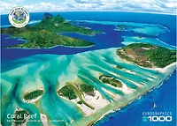 Casse-tête de 1000 pièces Coral Reef d'Eurographics
