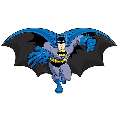 X Kites - Cerf-volant SkyBuddy