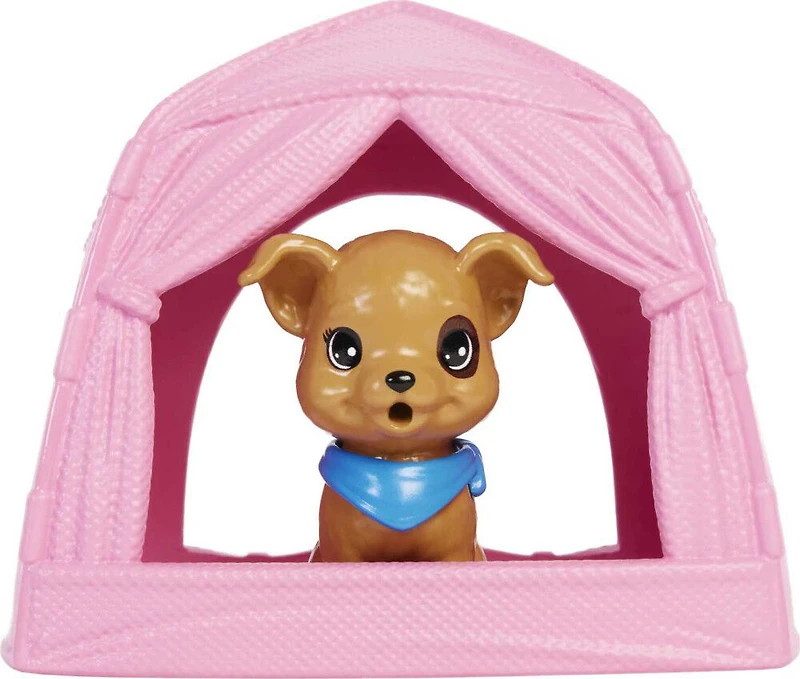 Barbie Doll and Accessories