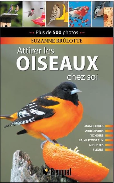 Attirer les oiseaux chez soi - French Text